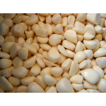 IQF frozen garlic cloves chopped dice